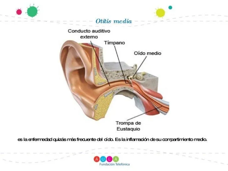 enfermedades-de-los-cinco- ...