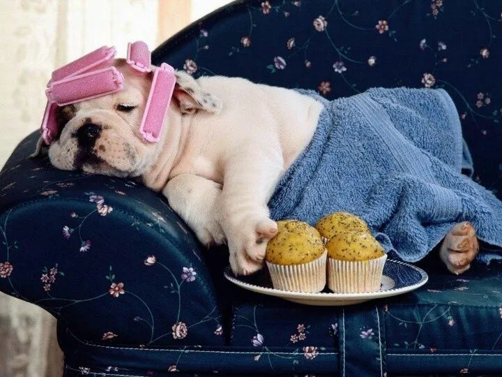 Enfermita con gripe | Things I love | Pinterest Enfermita con gripe | Things I love | Pinterest
