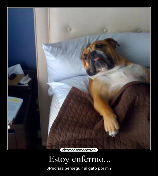 Estoy enfermo... | Desmotivaciones