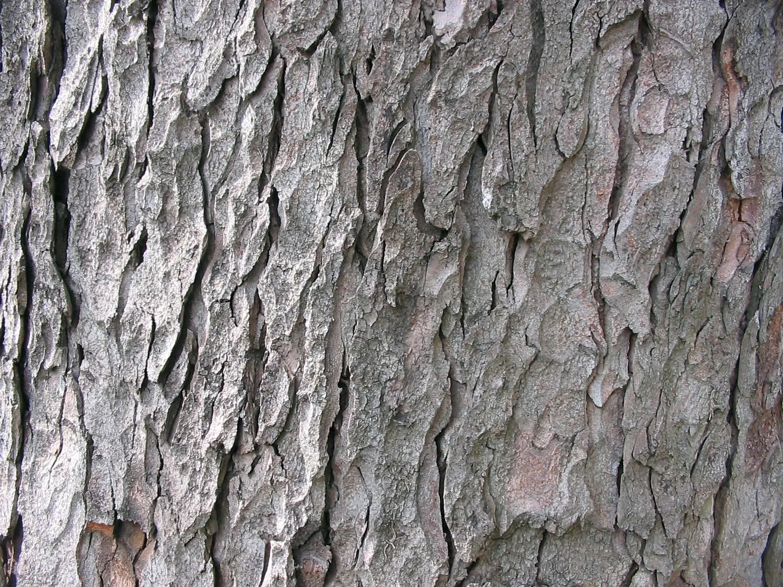 enfim textura e o que nos permite imaginar como e a superficie que ... enfim textura e o que nos permite imaginar como e a superficie que ...