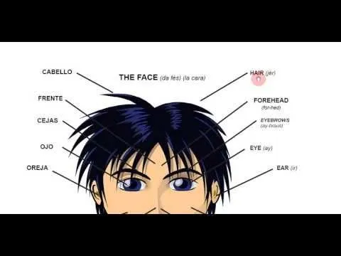 English: The Face (la cara) Names and pronunciation for the parts ...