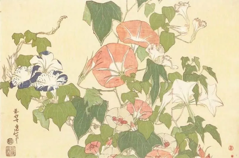 Enredaderas de flores dibujos - Imagui