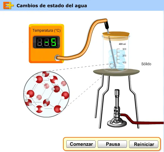 Enroque de ciencia: Laboratorio virtual. 52 Enroque de ciencia: Laboratorio virtual. 52