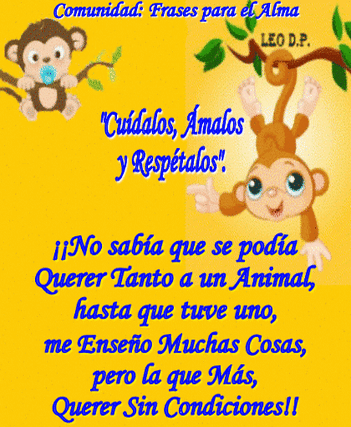 Enseña a los niños a respetar a los animales. | Frases para el ...