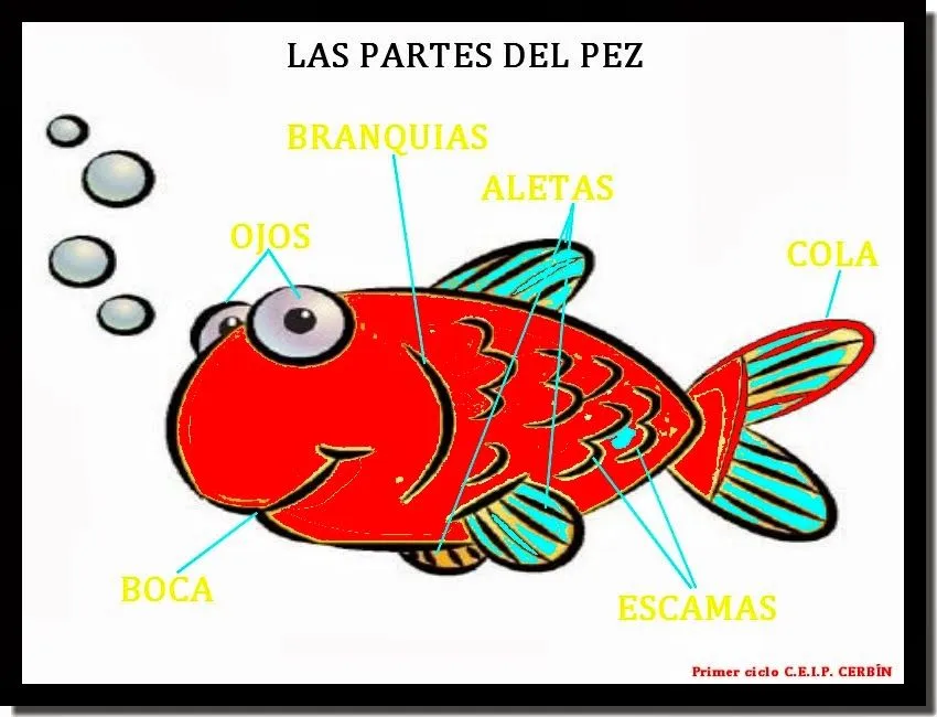 Enseñando y Aprendiendo: LOS ANIMALES: LOS PECES.