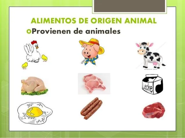 entorno-b2-origen-de-los- ...