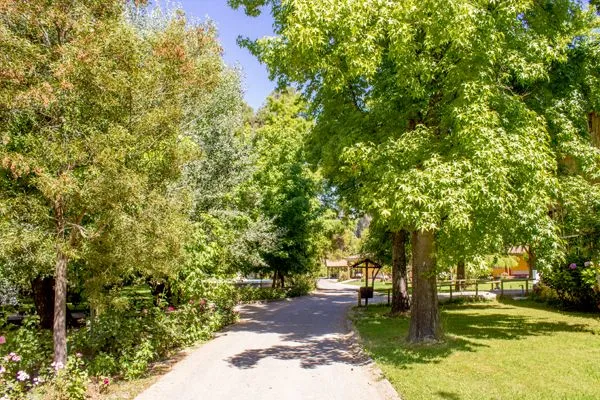 Entorno | Termas de Quinamávida | Spa Termal - Resort - Hotel ... Entorno | Termas de Quinamávida | Spa Termal - Resort - Hotel ...