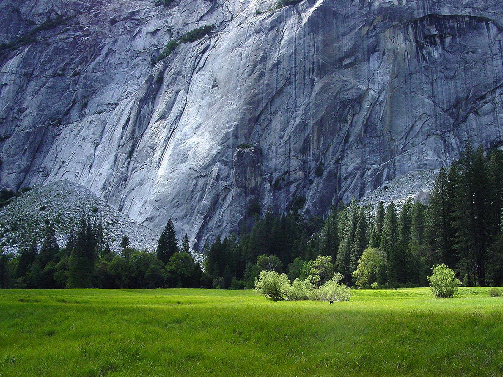 paisajes hd campos verdes con animales imagenes hd de paisajes ... paisajes hd campos verdes con animales imagenes hd de paisajes ...