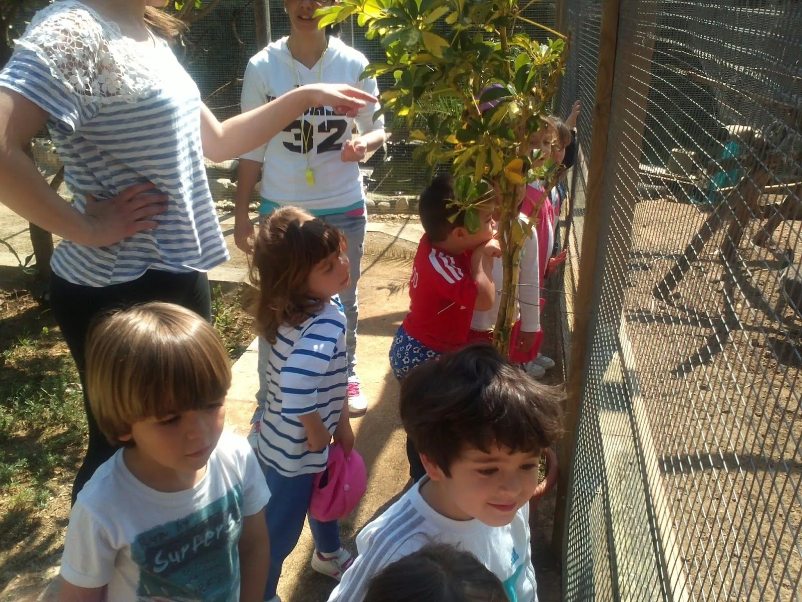 ENTRE2Y6: EXCURSIÓN A TIERRA DE ELFOS