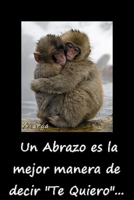 De entrecasa-con-Marga: Feliz Martes con Besos y abrazos...