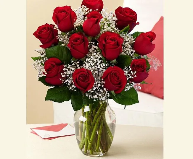 Enviar 12 Rosas Rojas a Tenerife | El Draguito Garden Center Enviar 12 Rosas Rojas a Tenerife | El Draguito Garden Center