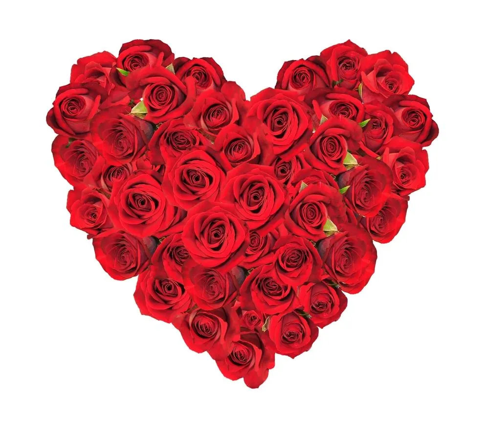 Enviar flores por San Valentín | Blog Pensandoenflores Enviar flores por San Valentín | Blog Pensandoenflores