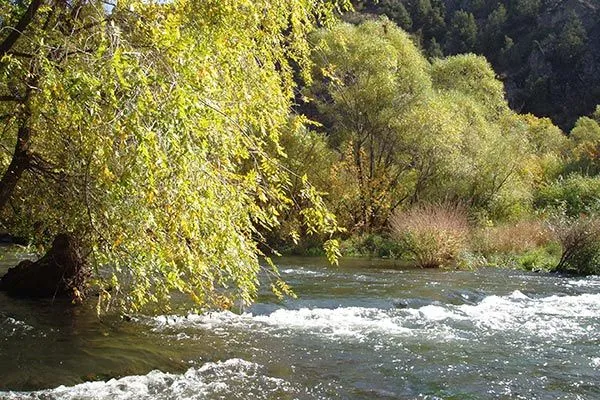 Environmental Alert: Group warns that Arpa River is in danger ... Environmental Alert: Group warns that Arpa River is in danger ...