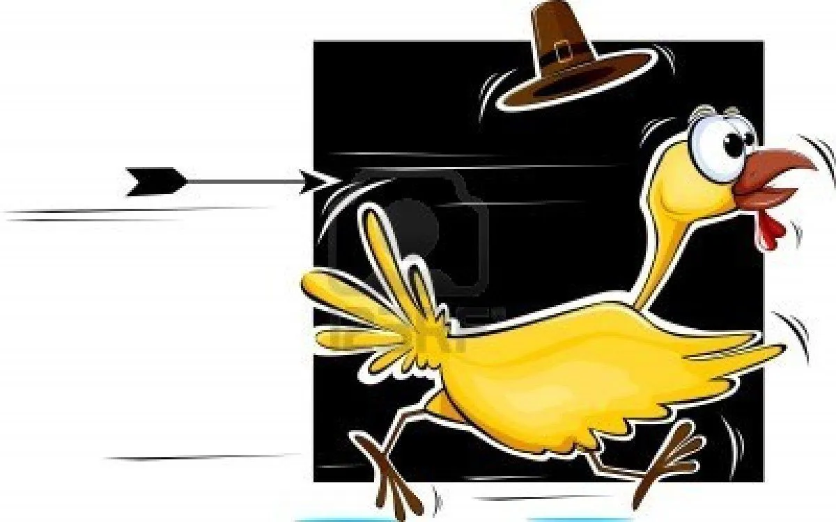 LA ENVOLVENCIA: ¿POR QUE CRUZO EL POLLO? LA ENVOLVENCIA: ¿POR QUE CRUZO EL POLLO?