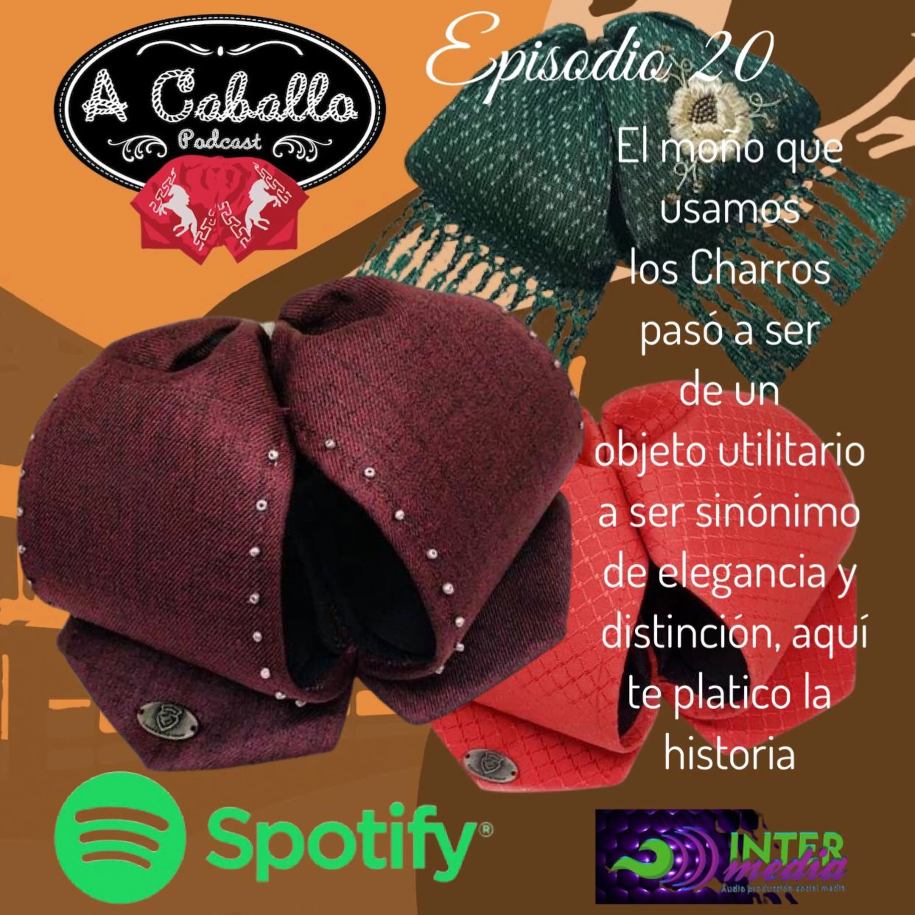 Episodio 20 - El Moño De Charro