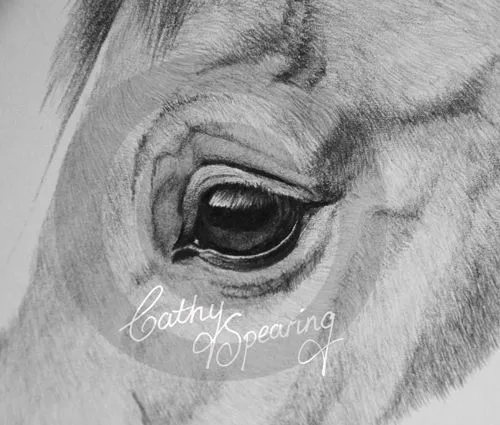 Cathy Spearing - Equestrian and animal artist.: Arab horse pencil ...