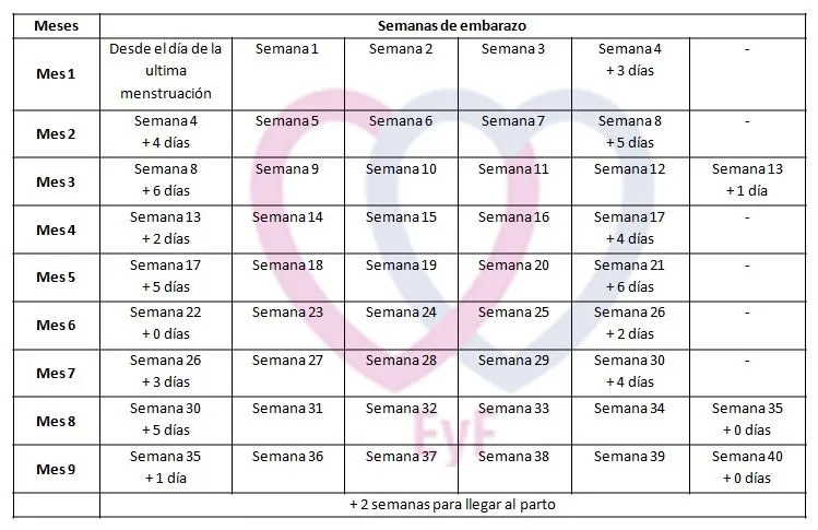 Equivalencia entre semanas y meses de embarazo - Embarazo y Fertilidad Equivalencia entre semanas y meses de embarazo - Embarazo y Fertilidad