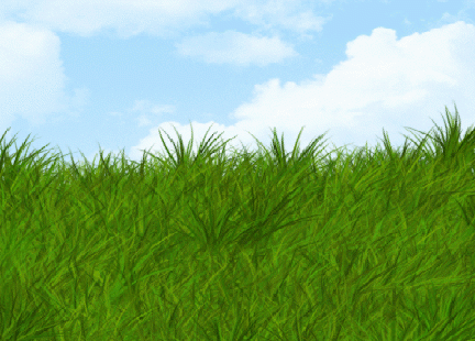Erba Related Keywords & Suggestions - Erba Long Tail Keywords Erba Related Keywords & Suggestions - Erba Long Tail Keywords