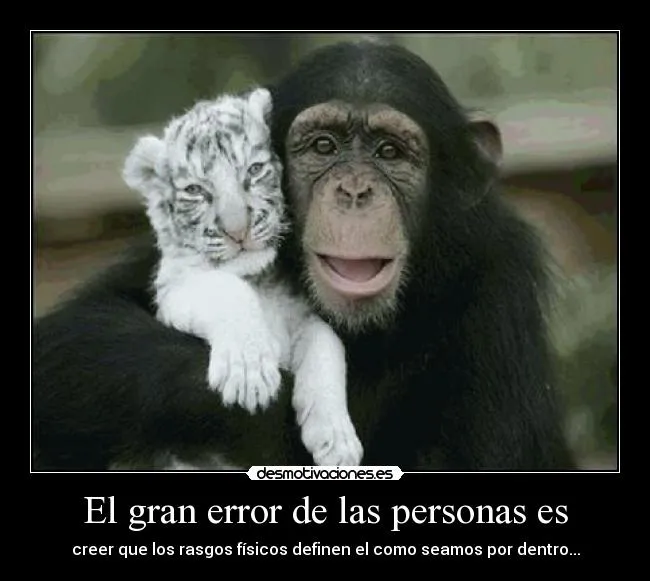 El gran error de las personas es | Desmotivaciones