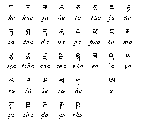 Escalofriorgasmicosmicuántico: Dzonghka (1)
