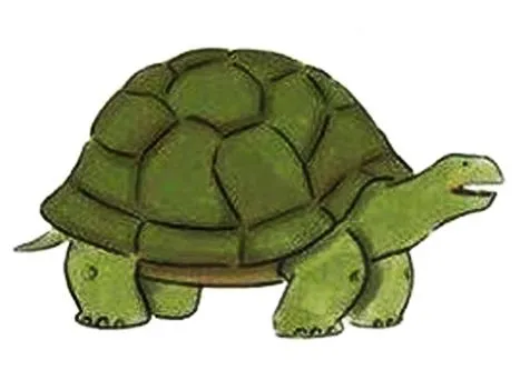 Escalofriorgasmicosmicuántico: El reporte de robo de la tortuga Escalofriorgasmicosmicuántico: El reporte de robo de la tortuga