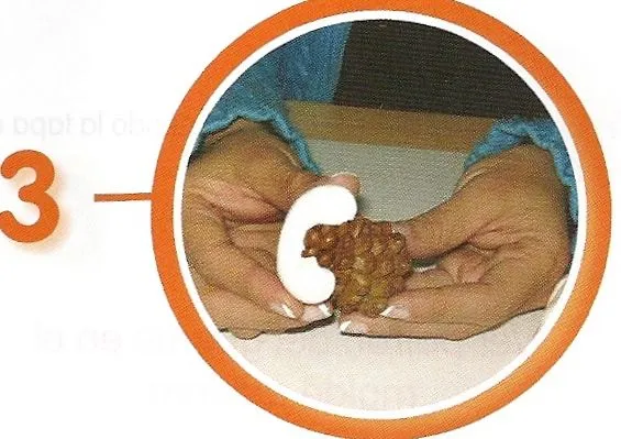 escanear0094.jpg