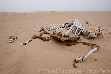 Escenas de Nouadhibou, Mauritania