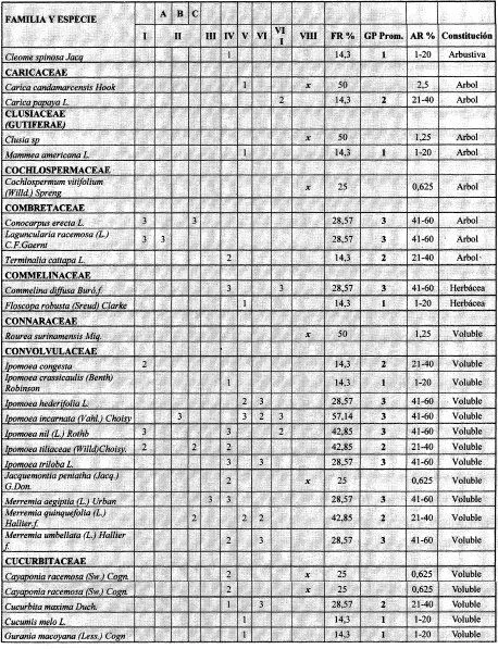 Numeros romanos del 290 al 1000 - Imagui