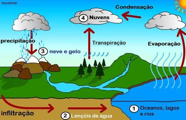 ESCOLA EM SUA CASA: CICLOS BIOGEOQUÍMICOS: ESTUDO DIRIGIDO DE ...