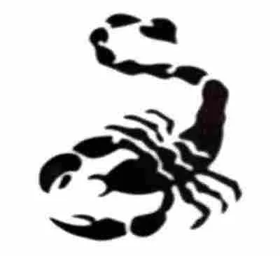 Escorpion dibujo - Imagui