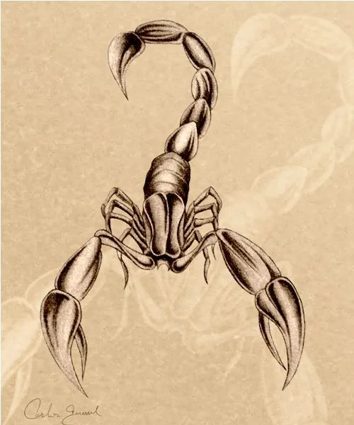 Escorpiones para dibujar - Imagui