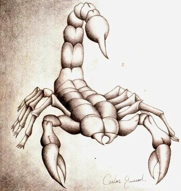 Escorpion dibujo - Imagui