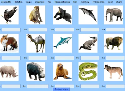 Escribe el nombre de los animales salvajes.-Inglés fácil para primaria Escribe el nombre de los animales salvajes.-Inglés fácil para primaria