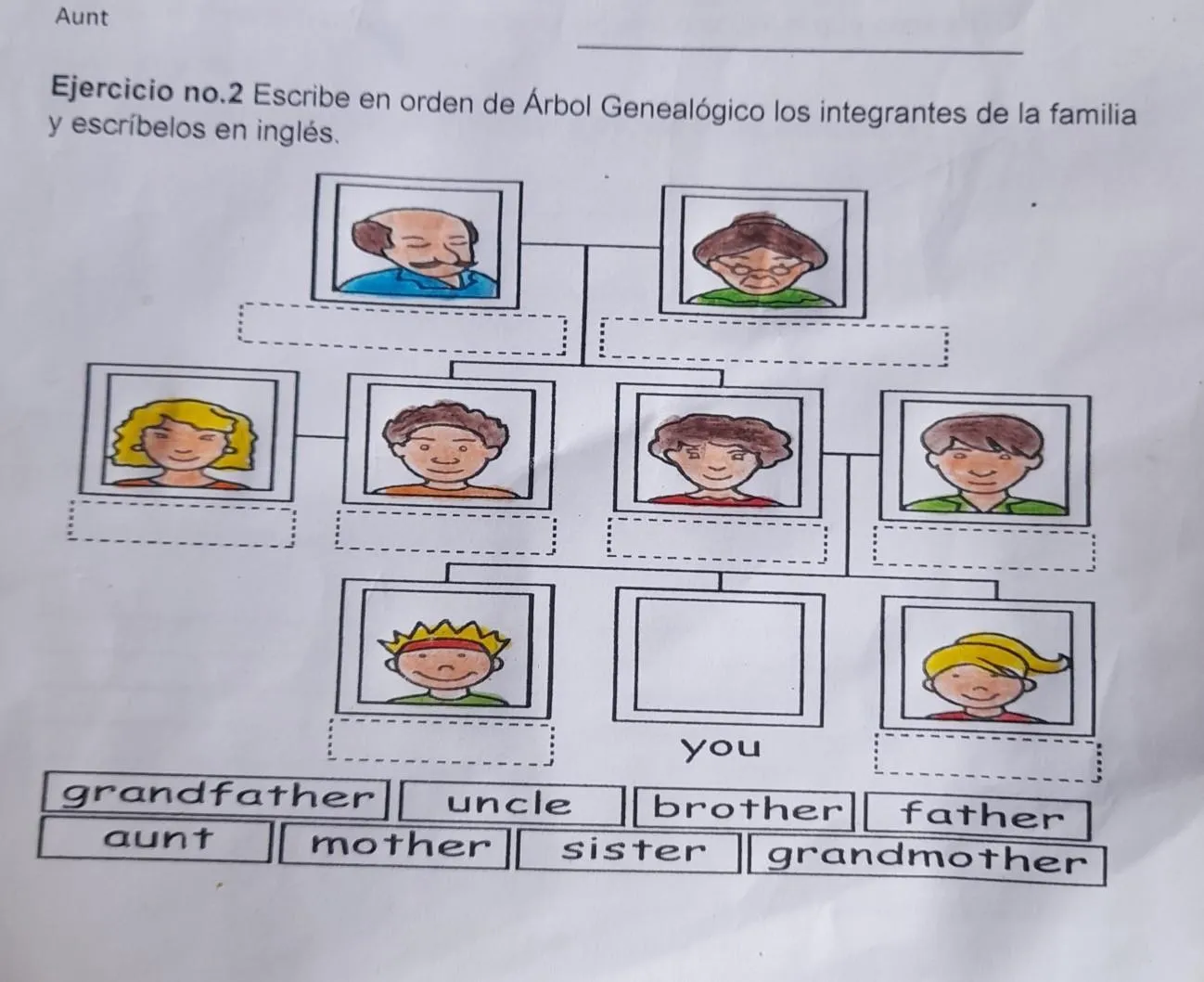 Escribe en orden de Árbol Genealógico los integrantes de la família y  escríbelos en inglés. ¡¡Ayuda doy - Brainly.lat