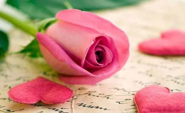 Cómo escribir una carta de amor a tu pareja : Fiancee Bodas