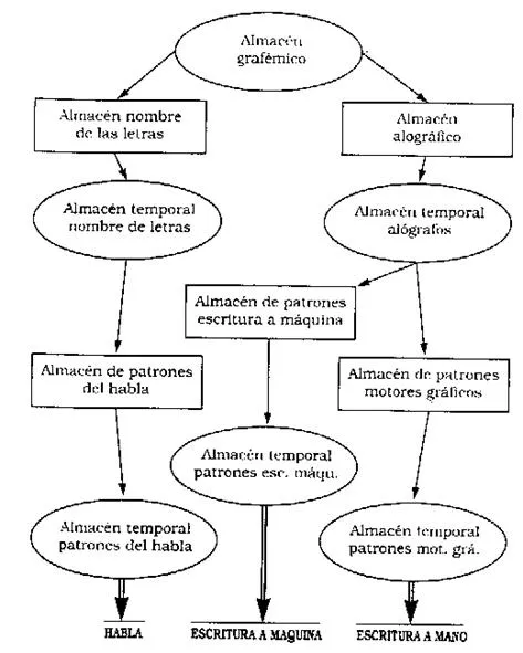 La escritura (página 2) - Monografias.