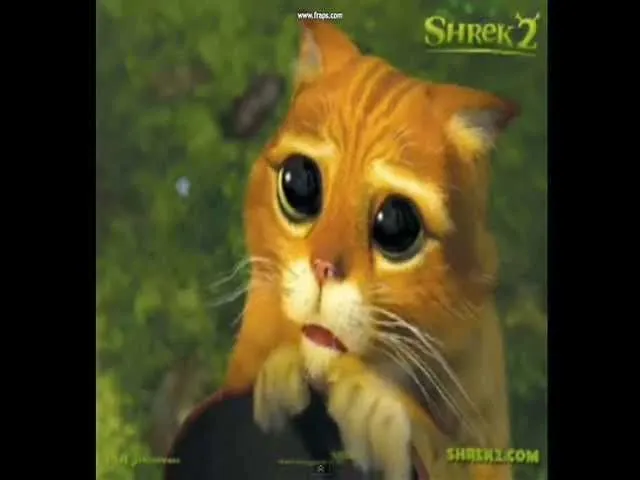 Escuchar Let It Be Shrek La Escena Mas Triste De Shrek Hd ... Escuchar Let It Be Shrek La Escena Mas Triste De Shrek Hd ...
