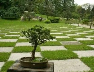 Alguna vez escuchó de alguien que utilice baldosas en su jardín ... Alguna vez escuchó de alguien que utilice baldosas en su jardín ...