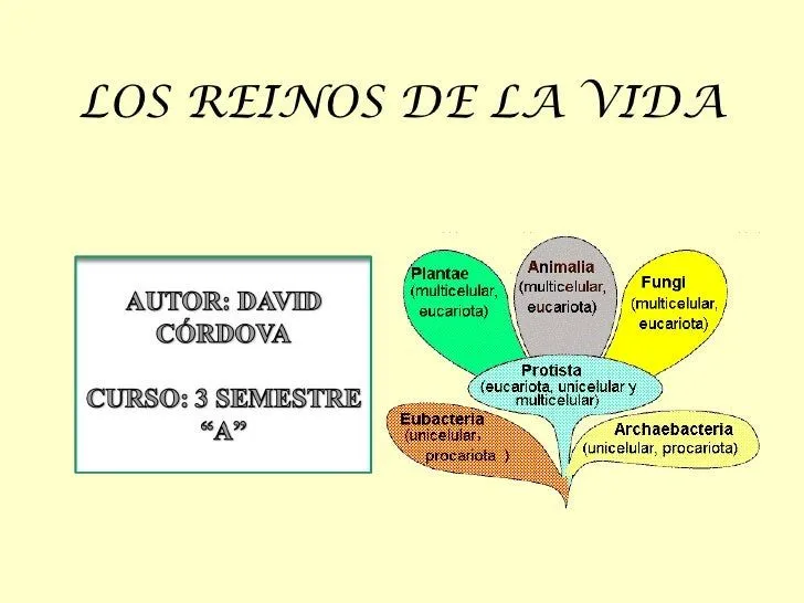ESCUELA DE BIOLOGIA Y QUIMICA CIENCIAS NATURALES LOS REINOS DE LA VID… ESCUELA DE BIOLOGIA Y QUIMICA CIENCIAS NATURALES LOS REINOS DE LA VID…