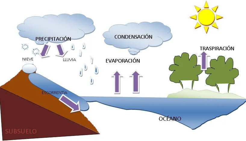 Imagen del ciclo del agua con sus nombres - Imagui