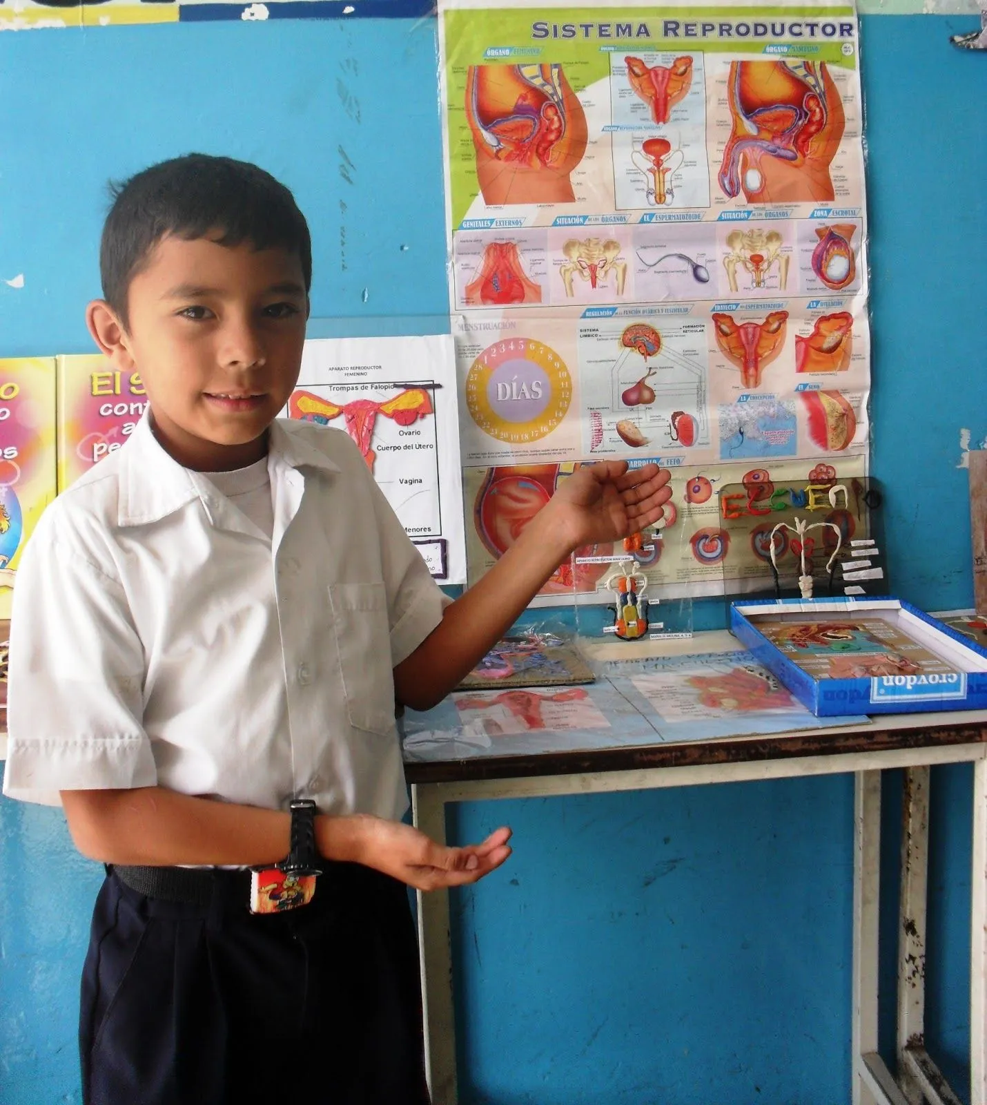 Escuela Bolivariana Mons. Tomás Antonio Sanmiguel: Los niños y ... Escuela Bolivariana Mons. Tomás Antonio Sanmiguel: Los niños y ...