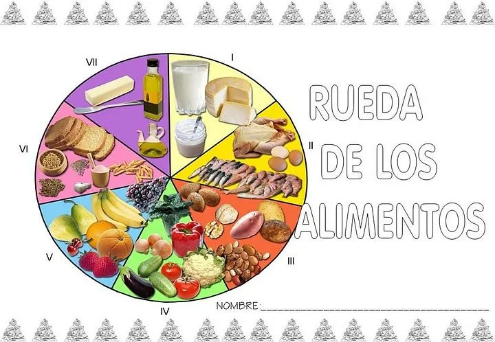 Escuela Especial Abierta: RUEDA DE LOS ALIMENTOS Escuela Especial Abierta: RUEDA DE LOS ALIMENTOS
