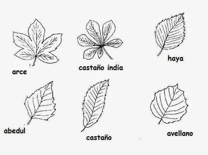 Escuela infantil castillo de Blanca: OTOÑO: LA VENDIMIA Escuela infantil castillo de Blanca: OTOÑO: LA VENDIMIA
