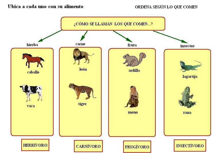Escuela José Mármol: Los animales- 2º grado Escuela José Mármol: Los animales- 2º grado