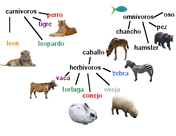 Escuela Manuela Pedraza: Clasificación de Animales - 3 B Escuela Manuela Pedraza: Clasificación de Animales - 3 B