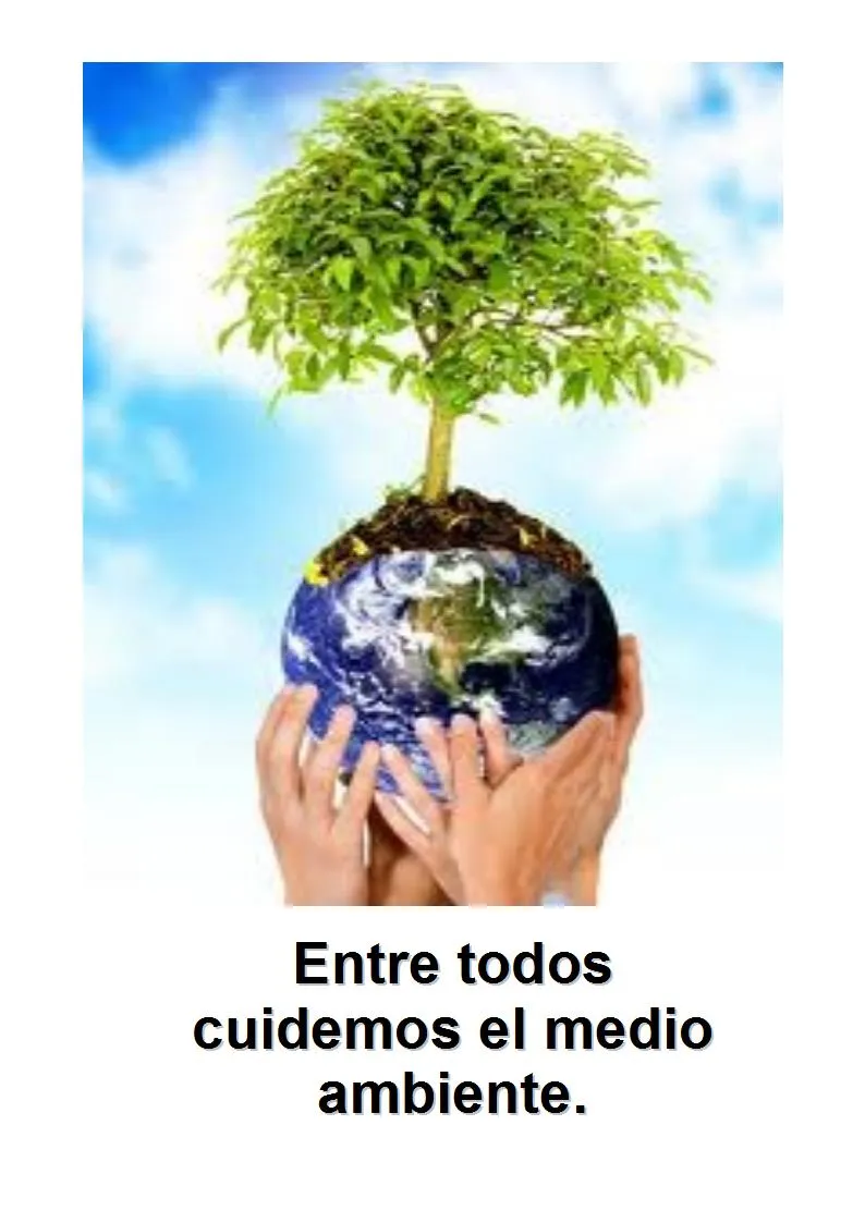 Escuela Nº 21 D.E.15º "J. J. Núñez": Problemas ambientales