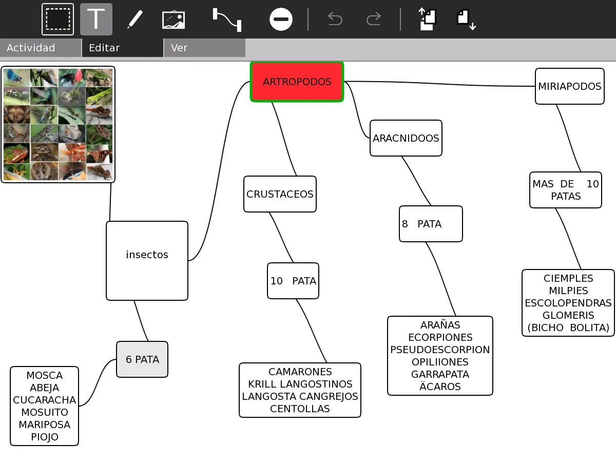 Escuela Nº 88: septiembre 2010