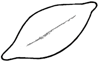 Mi escuelita multigrado: Dibujos para colorear Mi escuelita multigrado: Dibujos para colorear