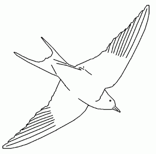 Mi escuelita multigrado: Dibujos para colorear Mi escuelita multigrado: Dibujos para colorear