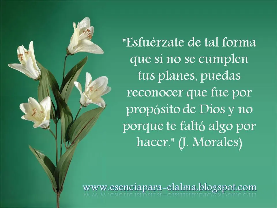 Esencia para el Alma: Esfuérzate de tal forma...